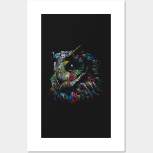 Colorful Owl Posters and Art